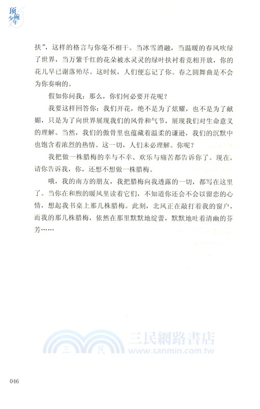 頂碗少年（簡體書）