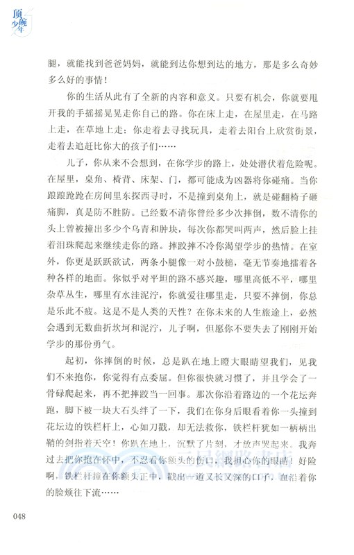 頂碗少年（簡體書）