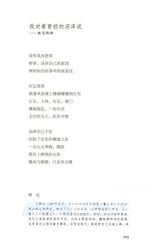 大地上的星辰（簡體書）