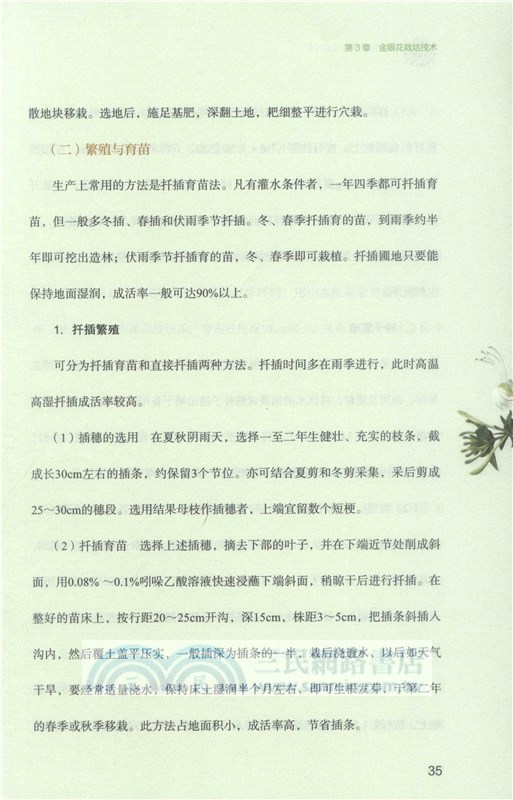 金銀花生產加工適宜技術（簡體書）