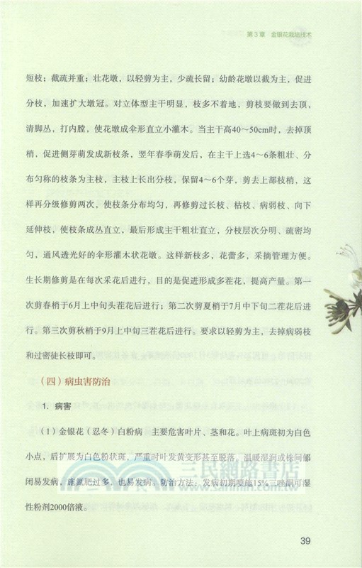 金銀花生產加工適宜技術（簡體書）