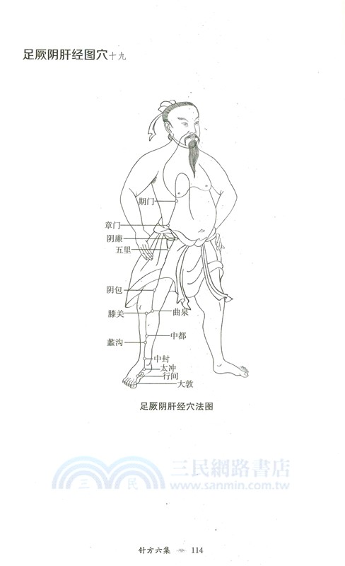 太乙神針，針方六集（簡體書）
