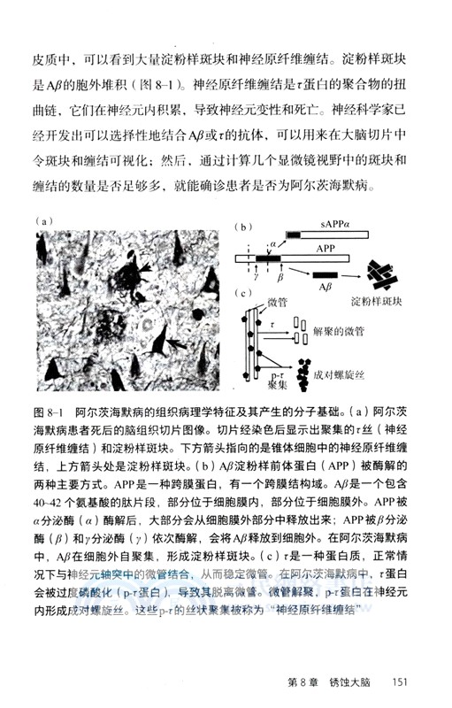 多面的谷氨酸（簡體書）