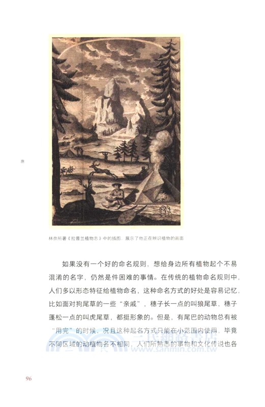 糧食史話（簡體書）