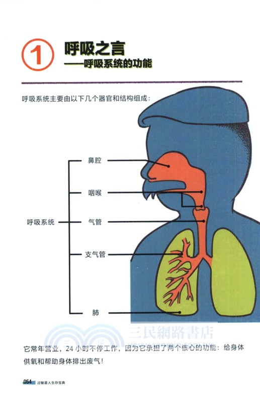 過敏星人生存寶典：漫畫過敏真相與防護（簡體書）