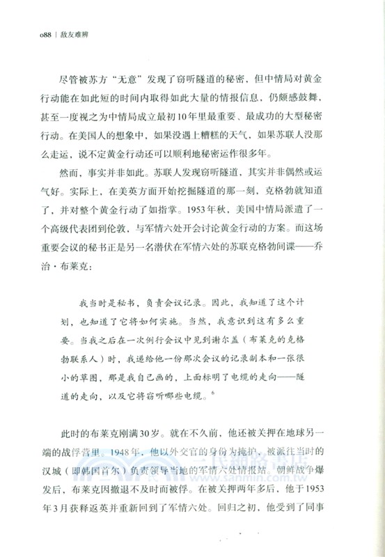 敵友難辨：冷戰諜海逸史（簡體書）
