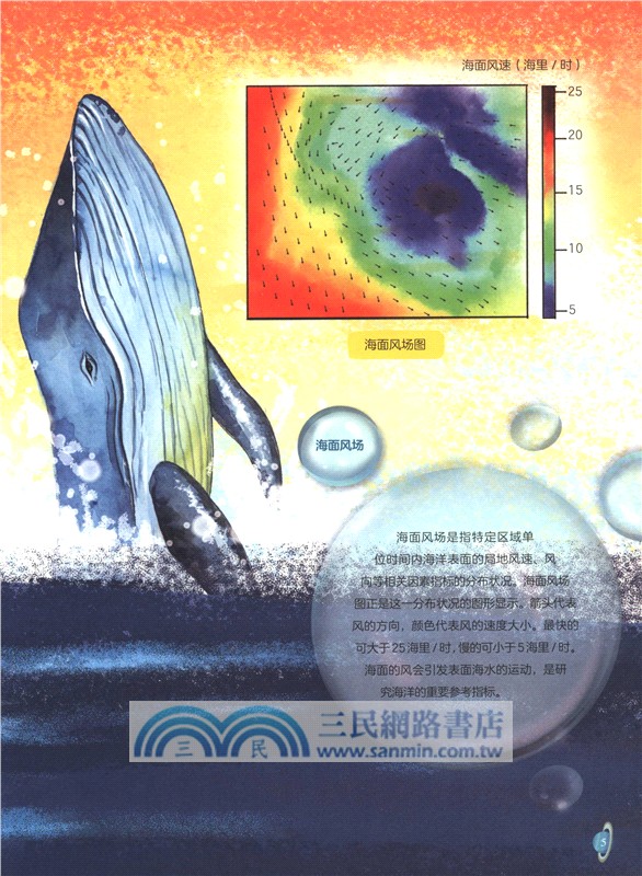 保護海洋的三兄妹：海洋衛星（簡體書）