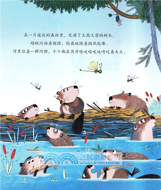 忙忙碌碌的河狸：做不被定義的小孩(全4冊)（簡體書）