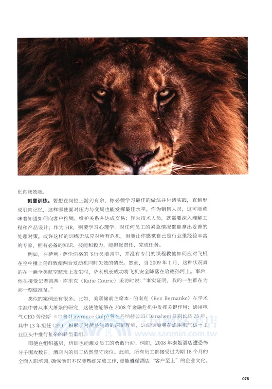 勇氣召喚術（簡體書）