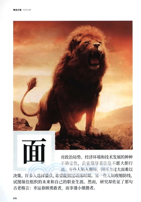 勇氣召喚術（簡體書）