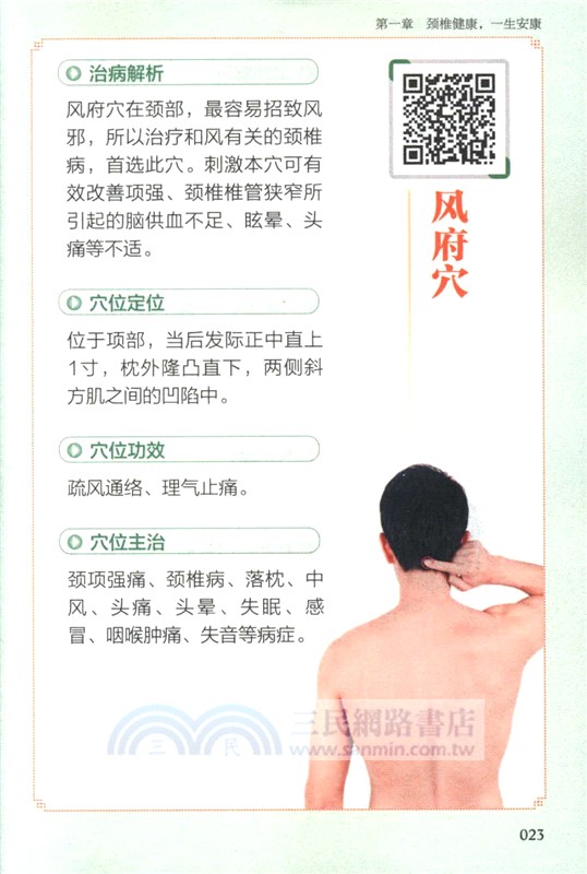 頸肩腰腿痛對症調理備急方（簡體書）