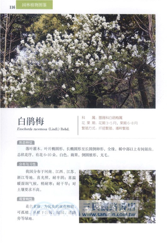 園林植物圖鑒（簡體書）