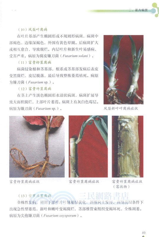 花卉病蟲害速診快治（簡體書）