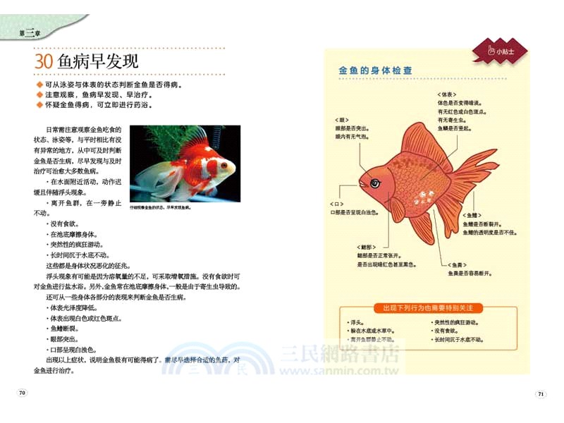 金魚養護與鑒賞這本就夠 簡體書 三民網路書店