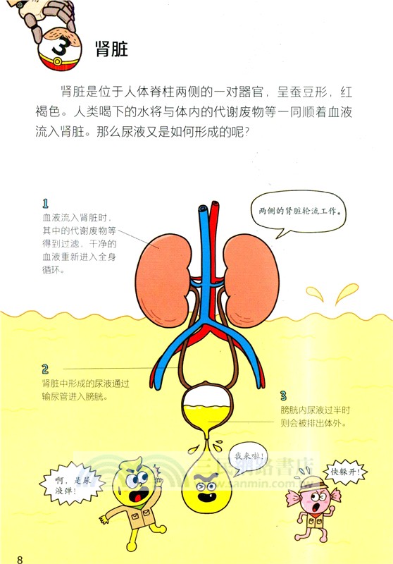 人體大揭秘（簡體書）