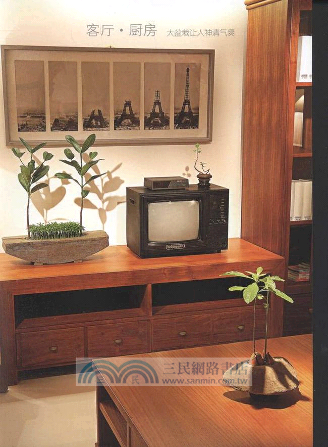 種子變盆栽真簡單（簡體書）