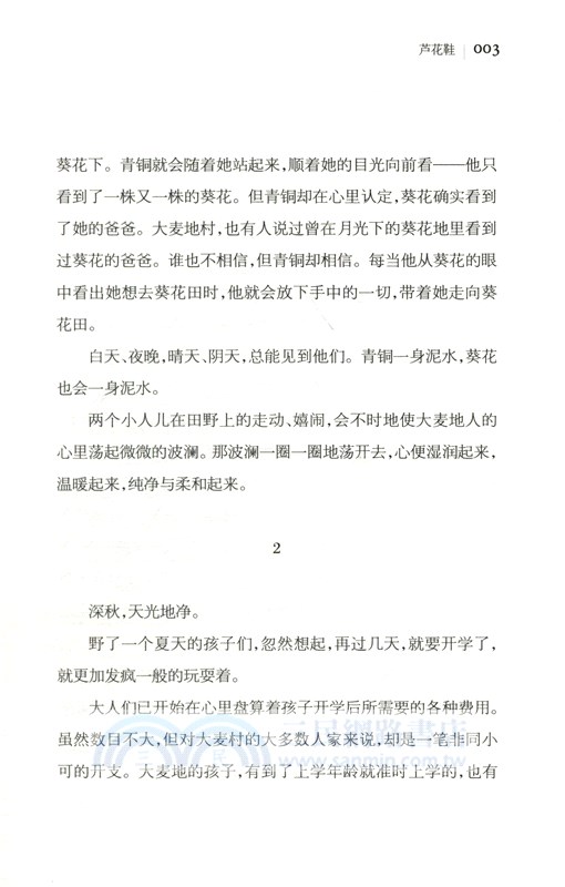 藏在月下的謎（簡體書）