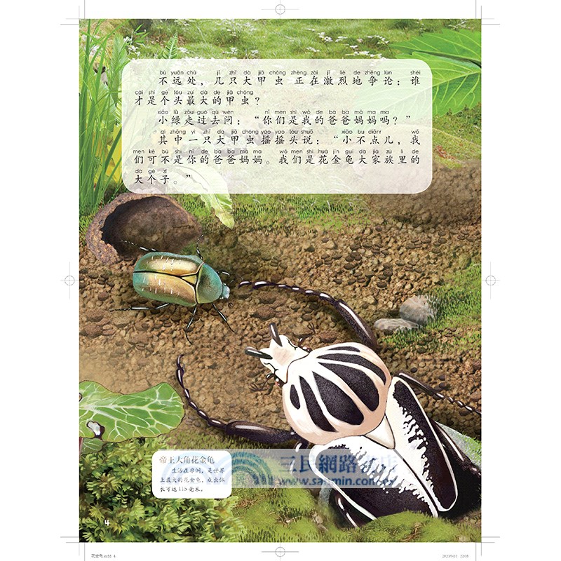 我的動物朋友：小綠奇遇記‧花金龜(6-10歲)（簡體書）