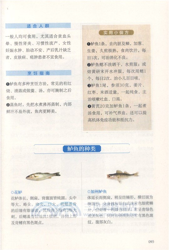河海鮮速查手冊（簡體書）