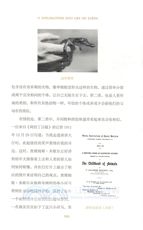 11次奇妙自然探索之旅（簡體書）