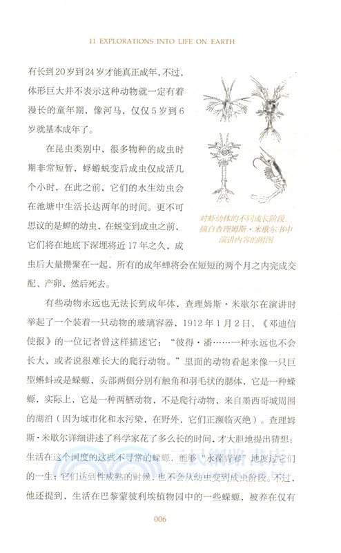 11次奇妙自然探索之旅（簡體書）