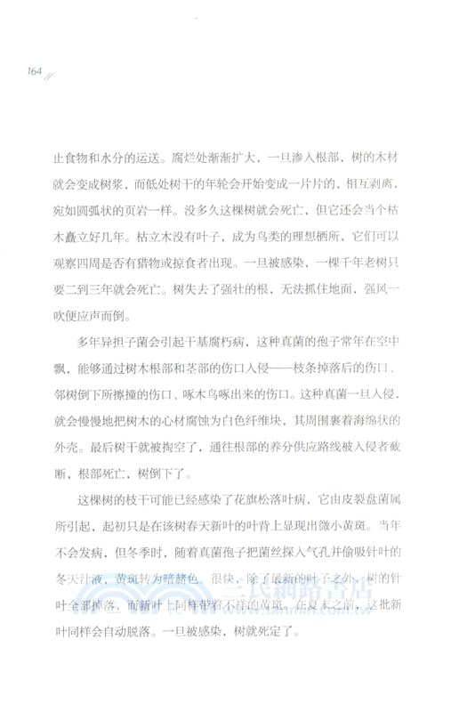 一棵花旗松的生命之旅（簡體書）