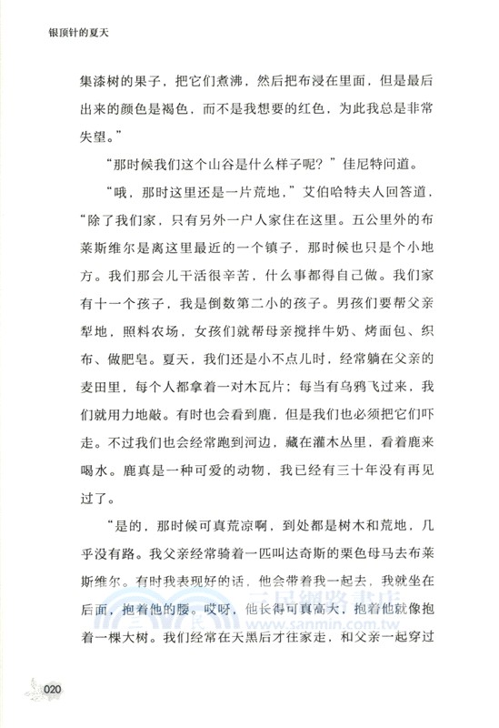 銀頂針的夏天（簡體書）