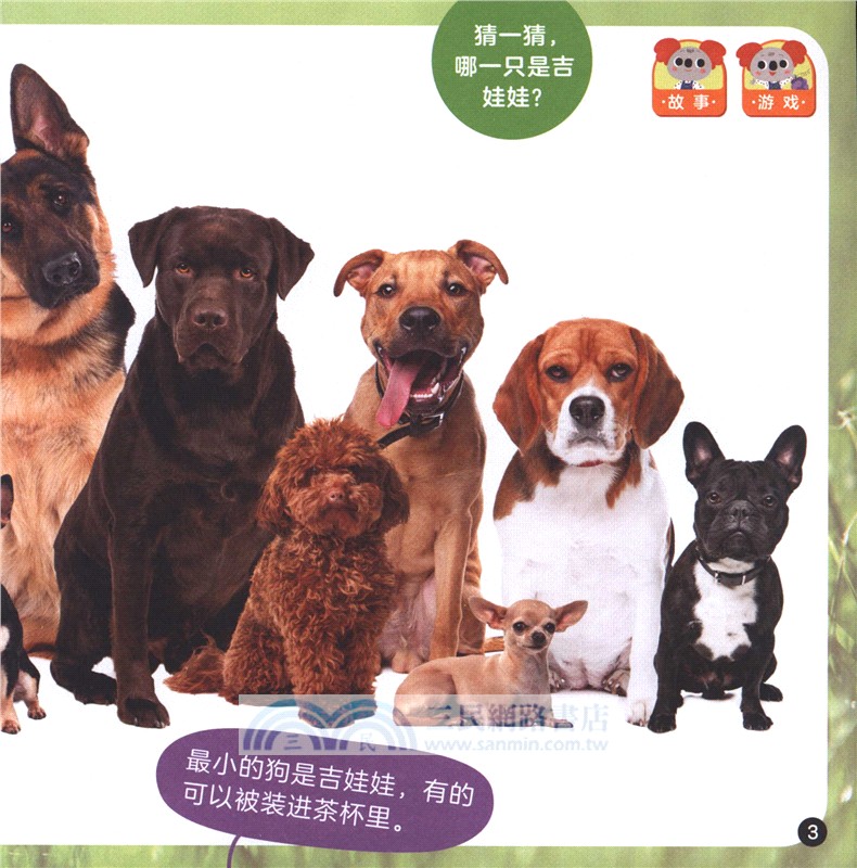 小考拉愛科學：零基礎啟蒙(預備級)(共10冊)(點讀版)（簡體書）