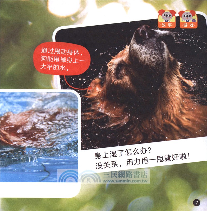 小考拉愛科學：零基礎啟蒙(預備級)(共10冊)(點讀版)（簡體書）