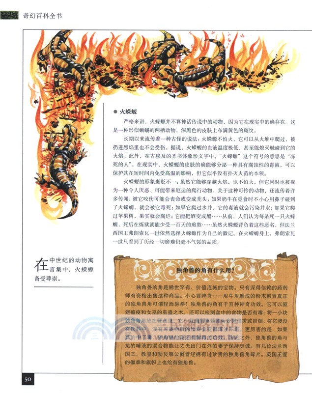 奇幻百科全書（簡體書）