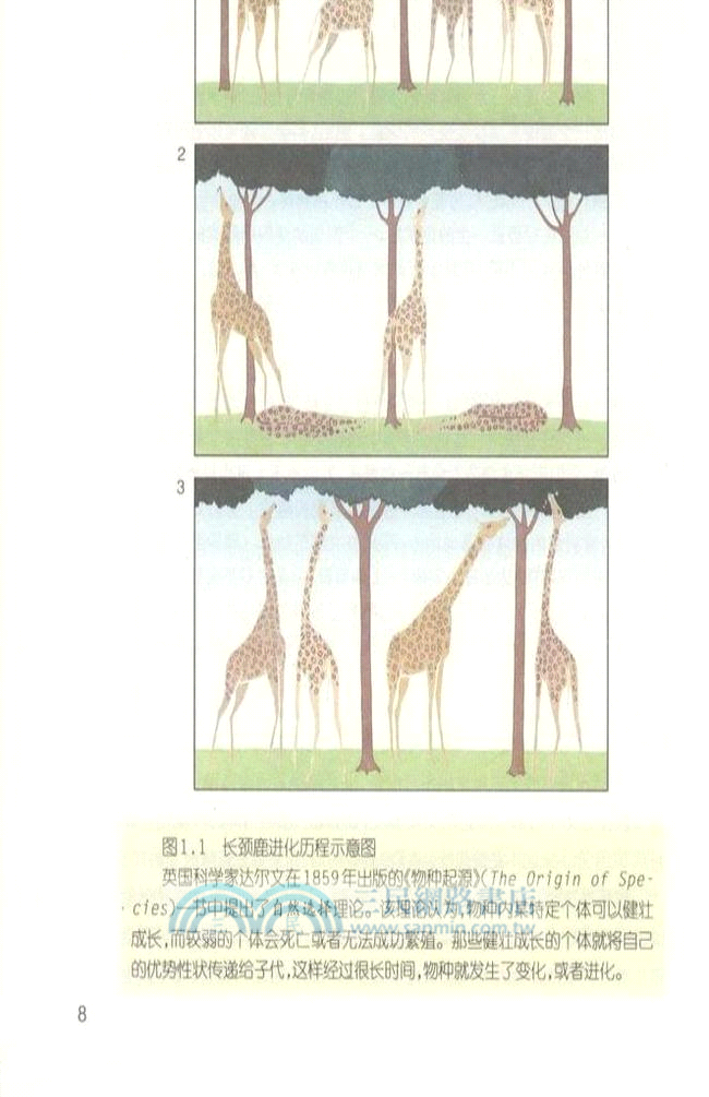 生物圈：誰是地球最後的生靈（簡體書）