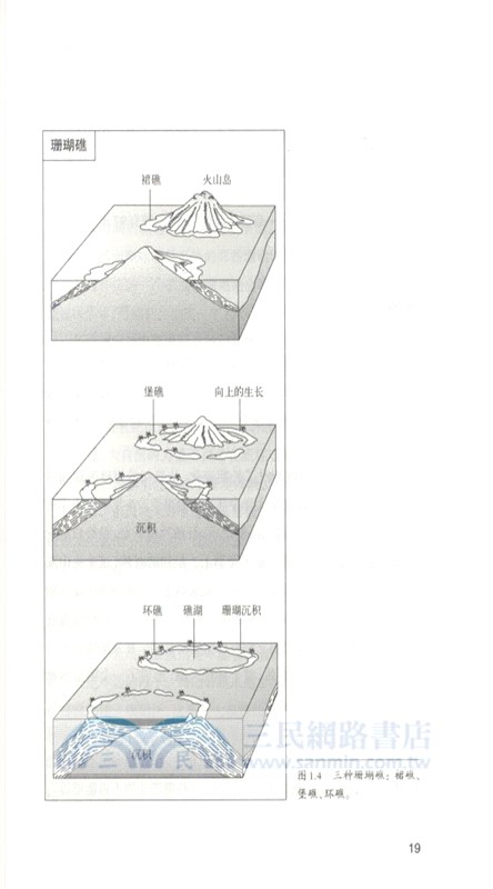 美國科學書架：海洋動物‧珊瑚礁動物（簡體書）