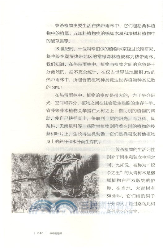 林中的“炮彈”（簡體書）