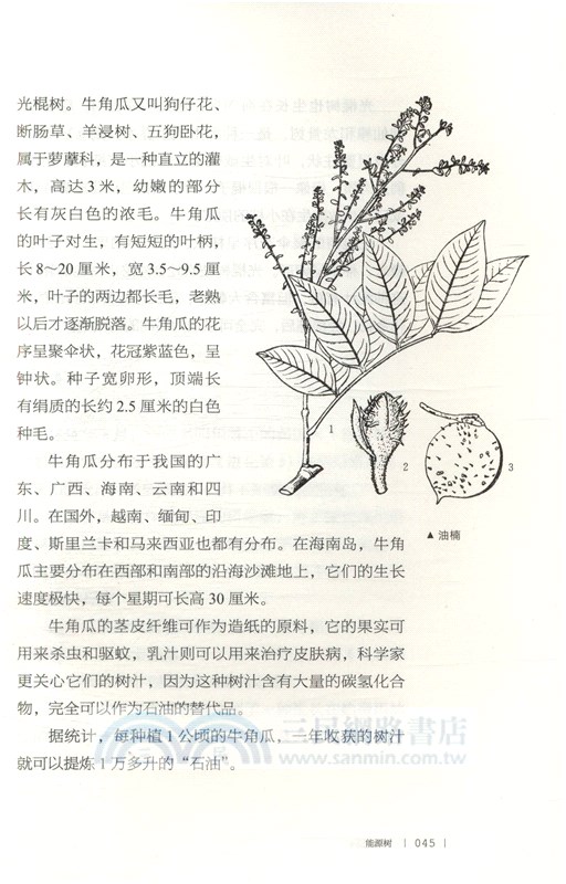 林中的“炮彈”（簡體書）