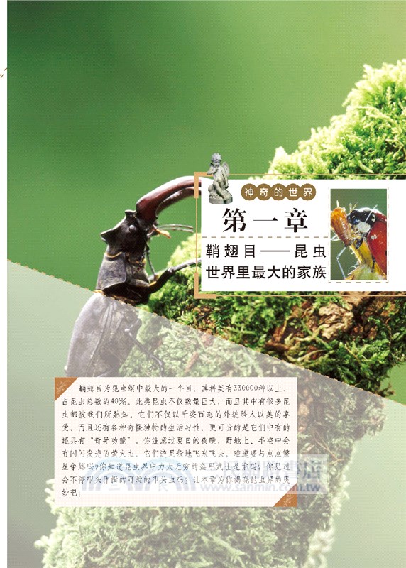 昆蟲的秘密生活（簡體書）