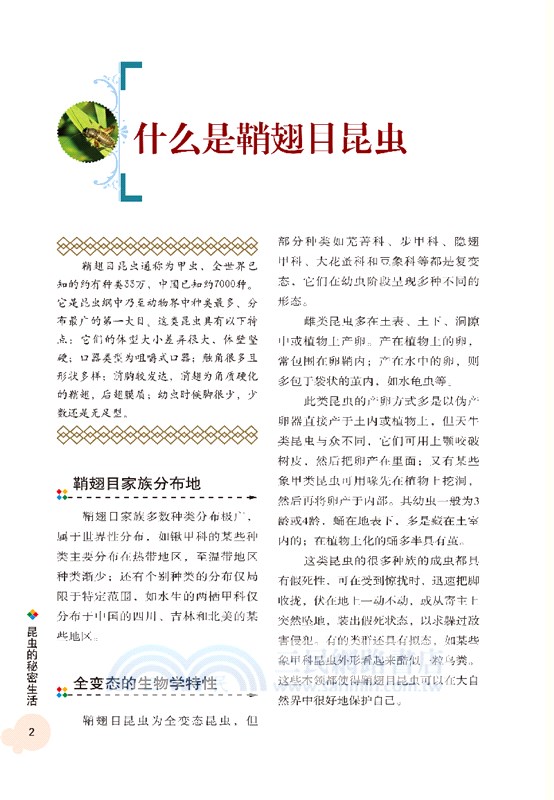 昆蟲的秘密生活（簡體書）