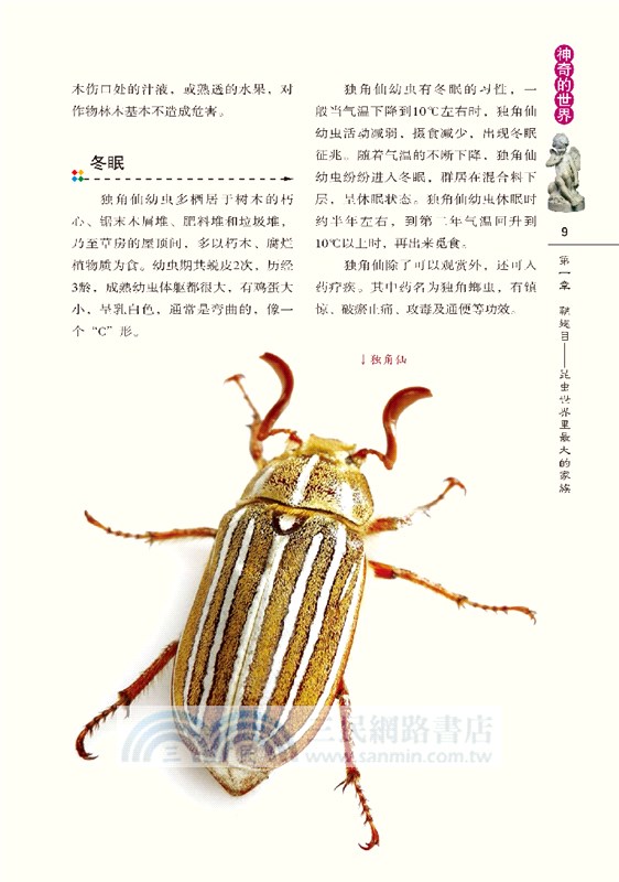 昆蟲的秘密生活（簡體書）