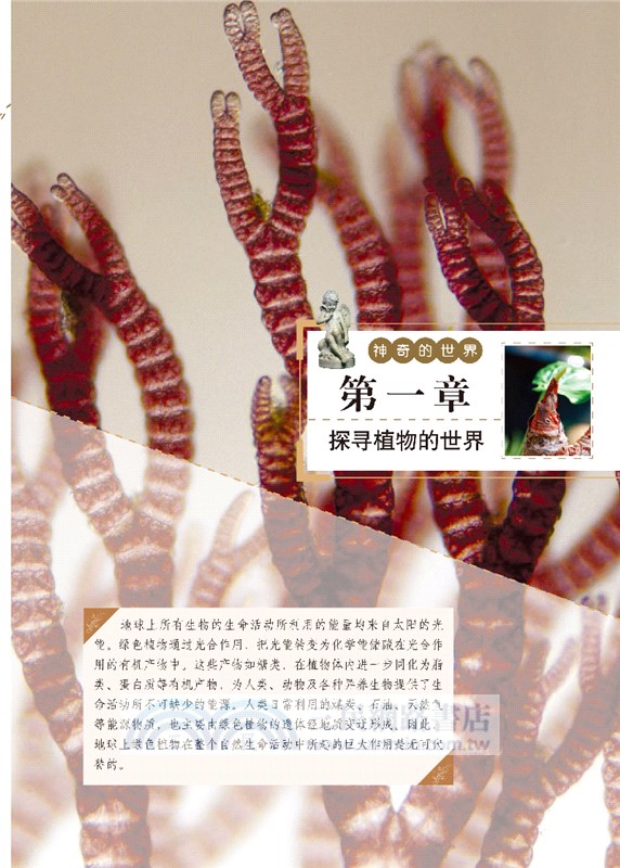 植物的秘密生活（簡體書）