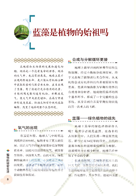 植物的秘密生活（簡體書）