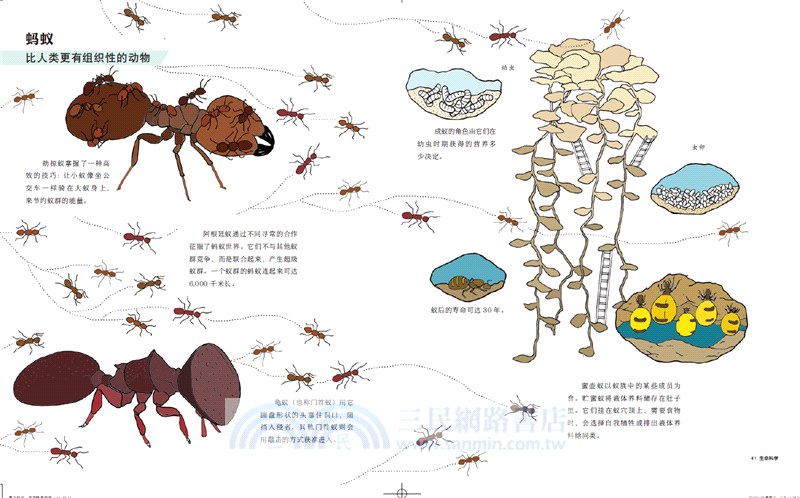 看見科學：給孩子的萬物探秘書（簡體書）