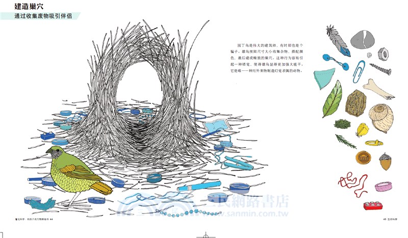 看見科學：給孩子的萬物探秘書（簡體書）