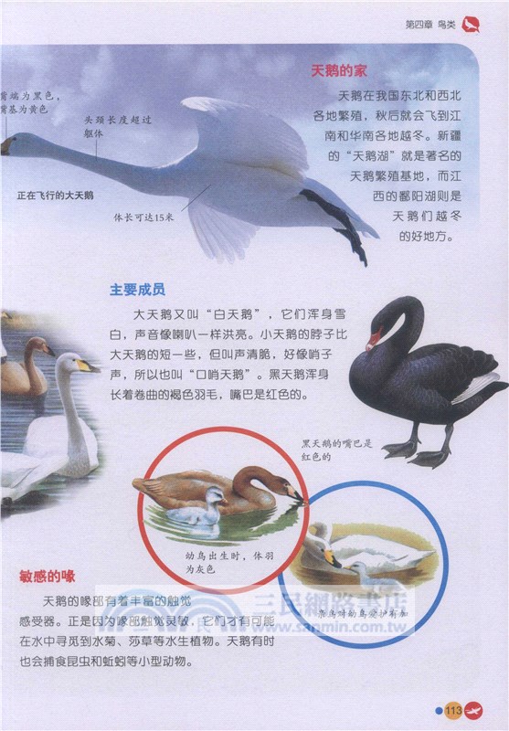 動物植物大百科（簡體書）