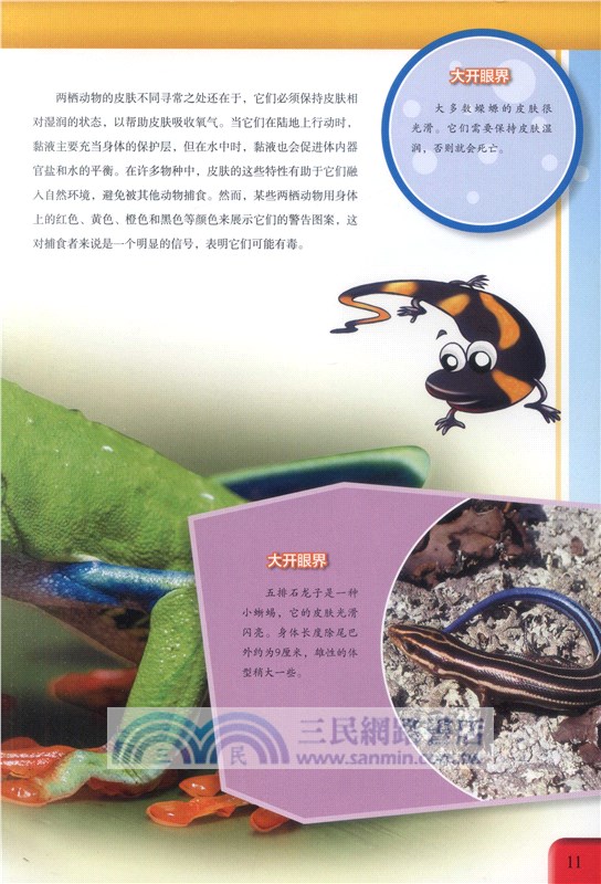 神奇的放大鏡：皮膚（簡體書）