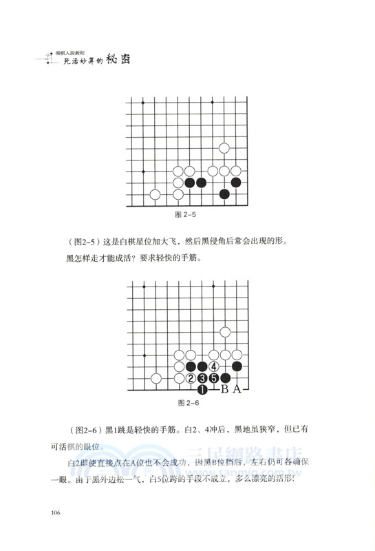 死活妙算的秘密（簡體書）