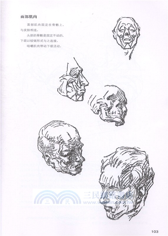 伯里曼人體結構繪畫教學(白金版)（簡體書）