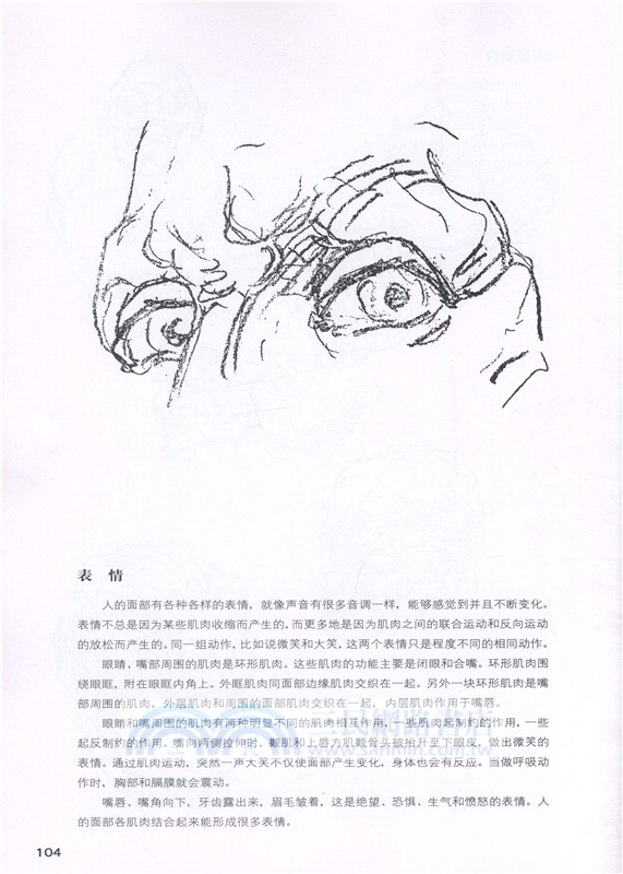 伯里曼人體結構繪畫教學(白金版)（簡體書）