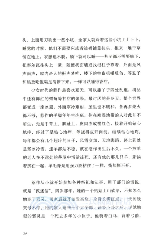 惹作（簡體書）