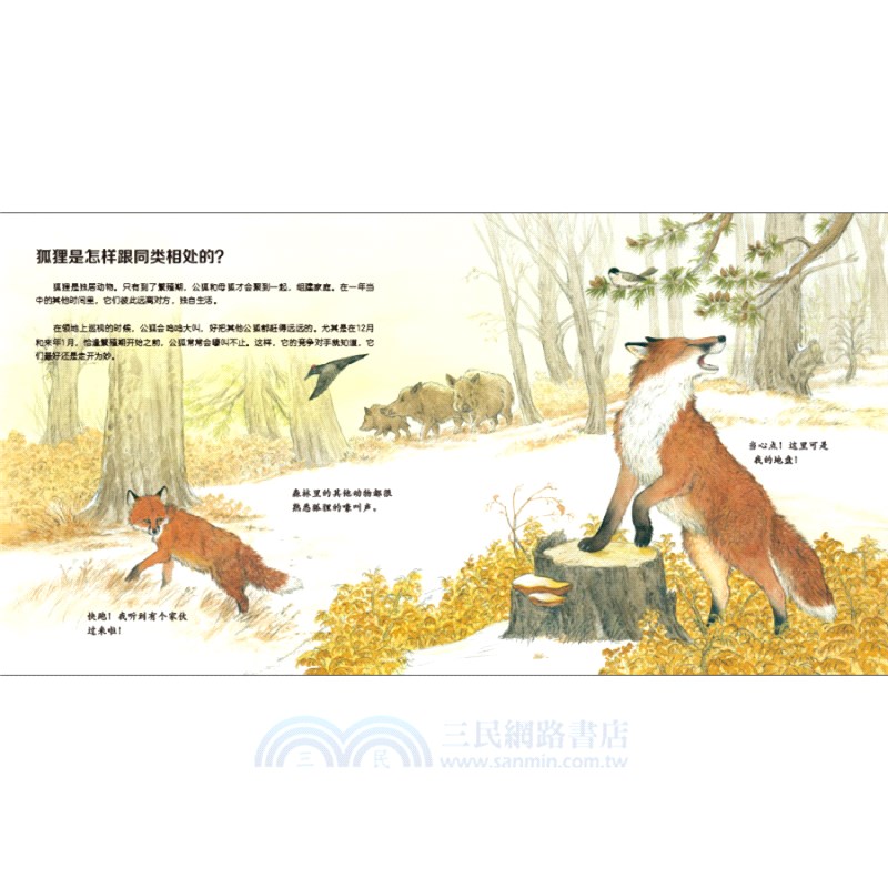 我的野生動物朋友(全8冊)（簡體書）