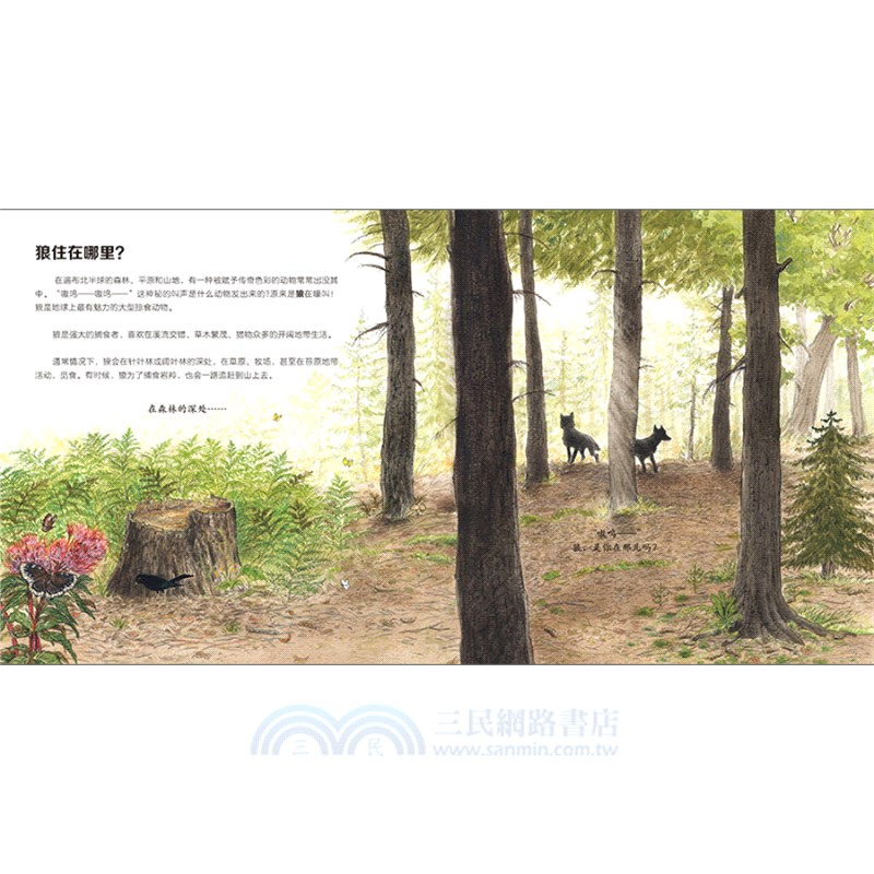 我的野生動物朋友(全8冊)（簡體書）