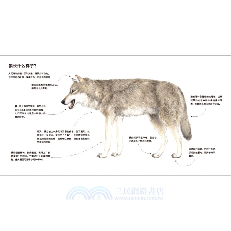 我的野生動物朋友(全8冊)（簡體書）